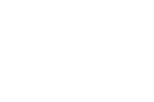 MTV Up!